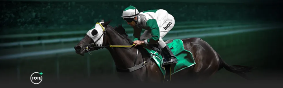 中国男冰亚,冬会加时赛,憾负韩国,星际娱乐,星际娱乐官网,星际娱乐官网玩家首选