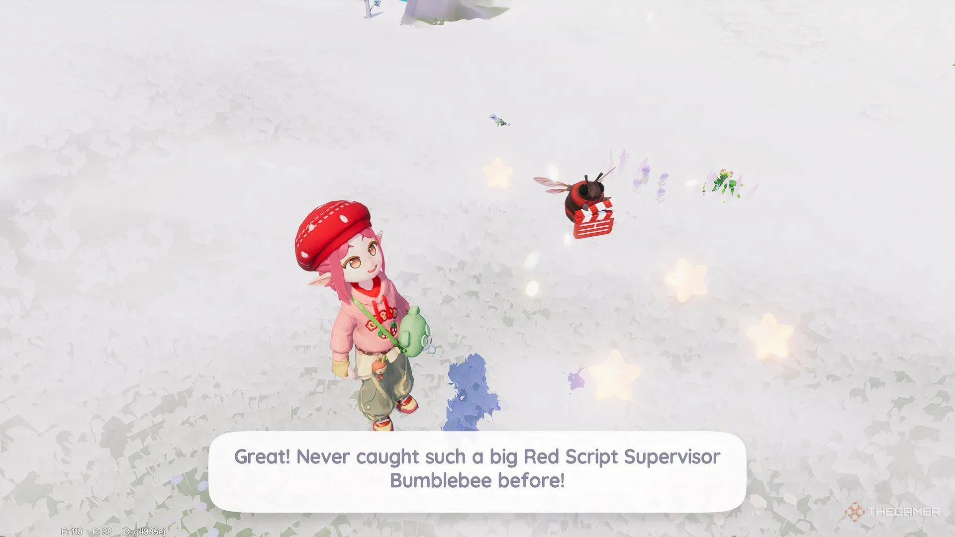 赛事所罗门,群岛对保加,利亚前瞻,星际娱乐,星际娱乐官网,星际娱乐官网玩家首选