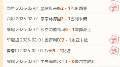 独行侠客场逆袭公牛，安东尼-戴维斯力挽狂澜